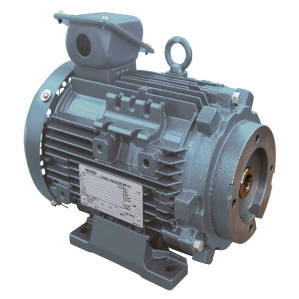 electric motor